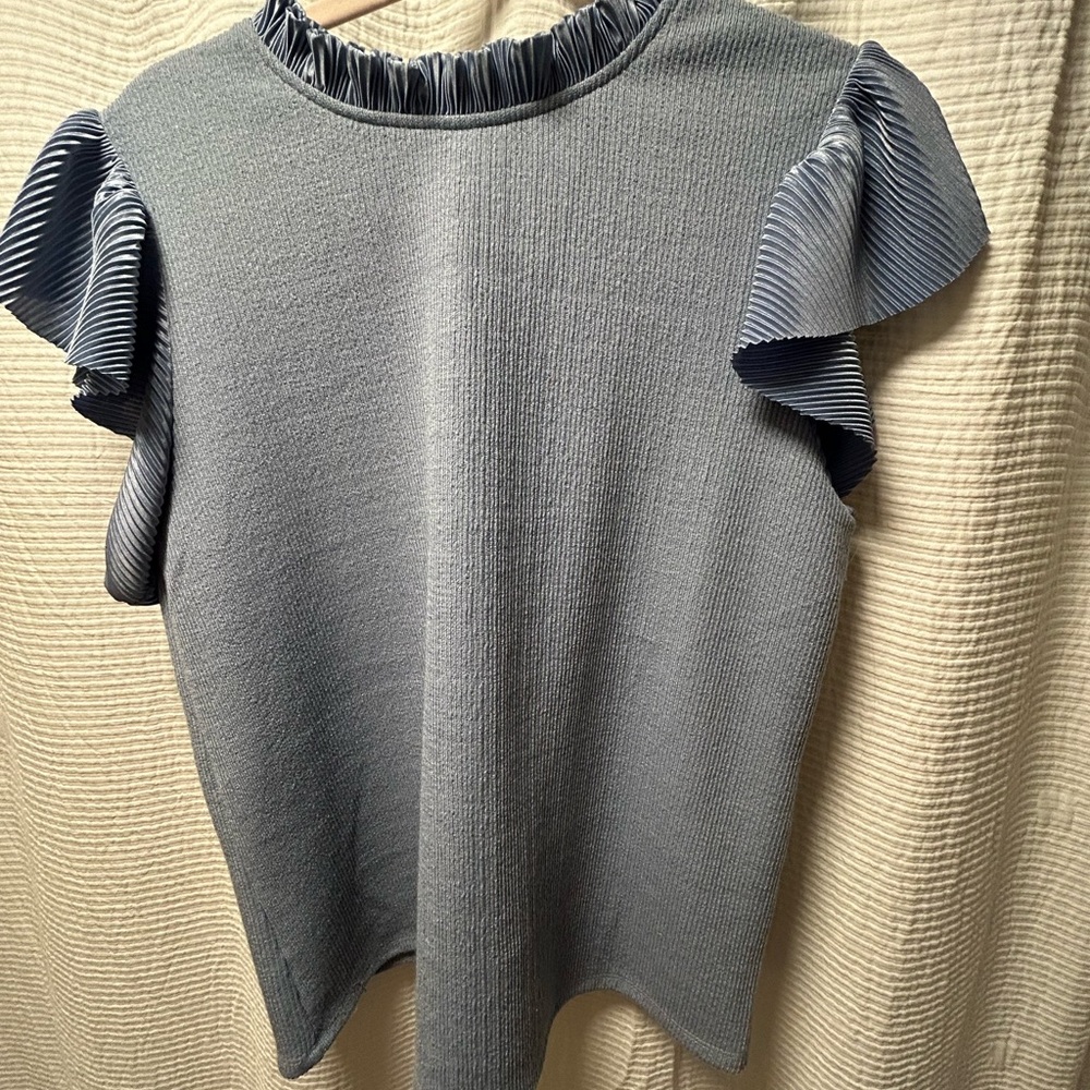 THML Blue Ruffle Sleeve Blouse